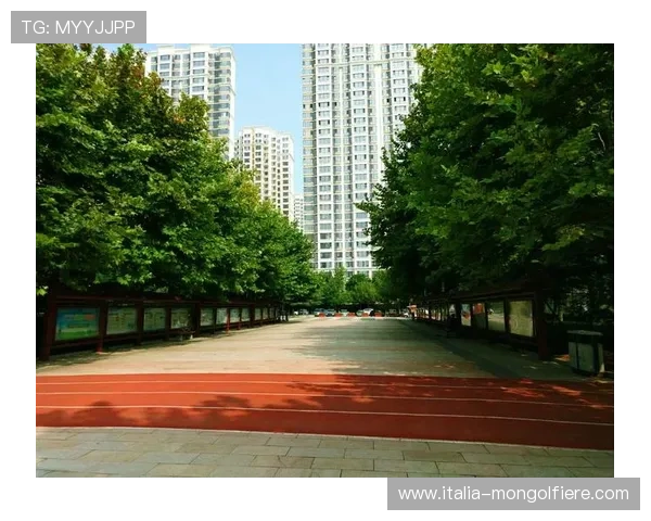 乐天体育首页用户评论与反馈，助你了解平台使用体验