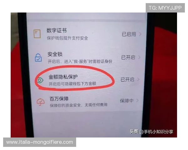利博会员官网账户安全设置指南，提升个人账户安全防护的实用技巧