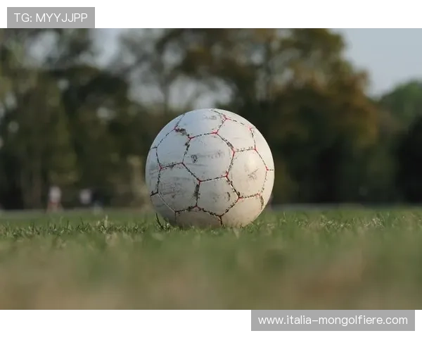 天博足球app功能介绍与使用技巧，助您轻松掌握足球比赛的每一个细节
